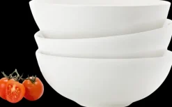 Arabia Astiat>Syva Lautanen 24H 16Cm