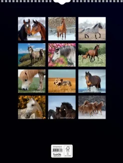 Burde Kalenterit></noscript>Seinakalenteri 2024 Hevoset