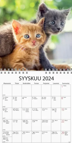 Burde Kalenterit>Seinakalenteri 2024 Kissanpennut