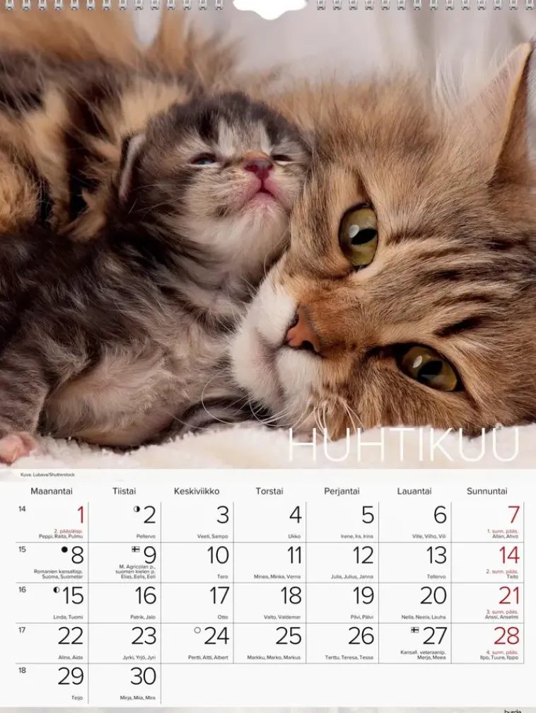 Burde Kalenterit>Seinakalenteri 2024 Kissat