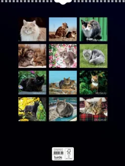 Burde Kalenterit><noscript><img width=