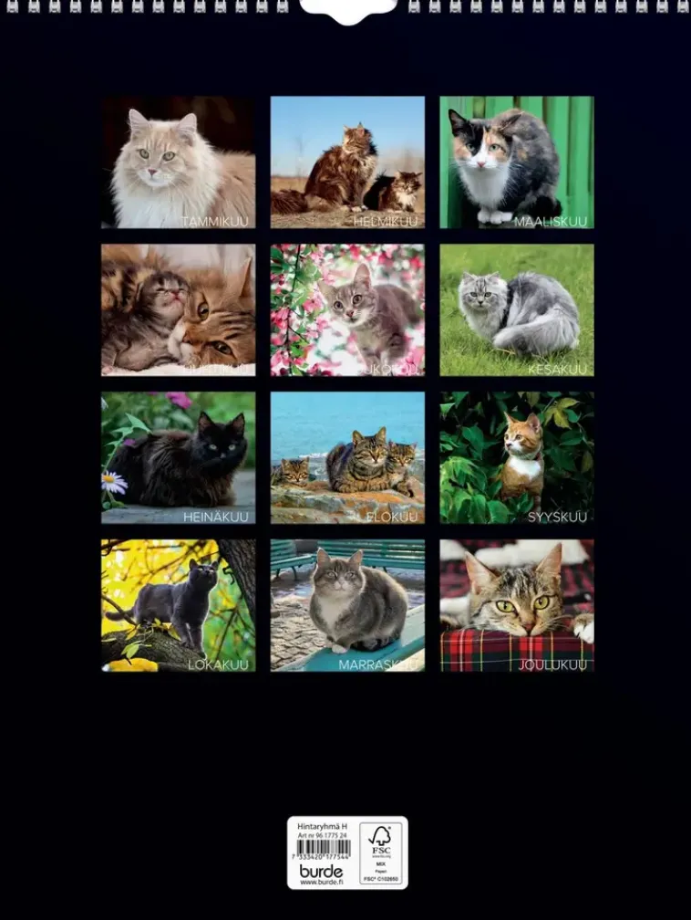 Burde Kalenterit>Seinakalenteri 2024 Kissat