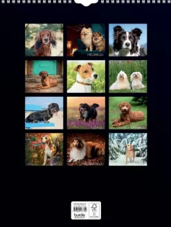 Burde Kalenterit><noscript><img width=