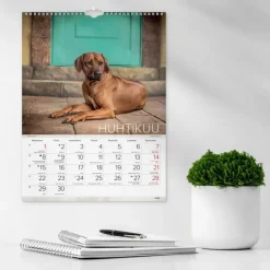 Burde Kalenterit><noscript><img width=