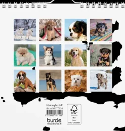 Burde Kalenterit></noscript>Seinakalenteri 2024 Koiranpennut