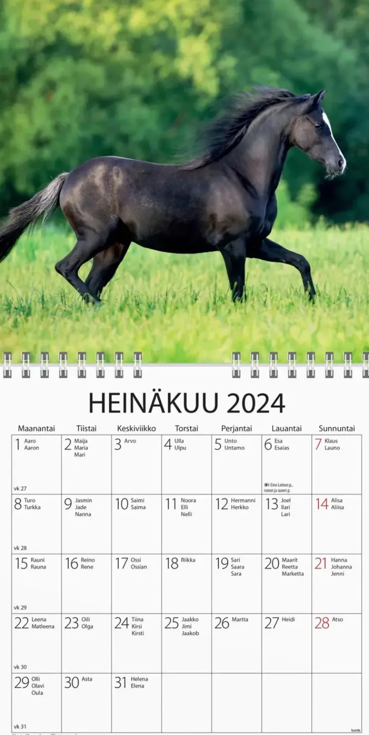 Burde Kalenterit>Seinakalenteri 2024 Ponit