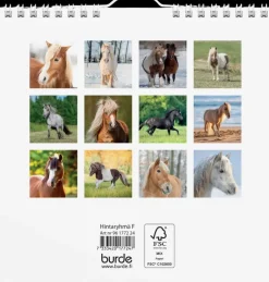 Burde Kalenterit><noscript><img width=