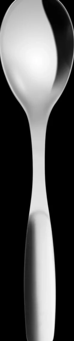 Hackman Astiat>Savonia Tarjoilulusikka