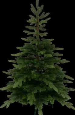 House Sesonkijuhlatarvikkeet>Joulukuusi Rostan 150 Cm Vihrea