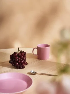 Iittala Astiat></noscript>Teema Lautanen 21 Cm, Ruusu