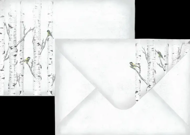 J.K. Primeco Askartelutarvikkeet<C6 Kirjekuori Koivu 10Kpl/Pkt