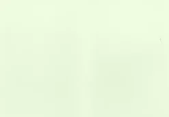 J.K. Primeco Askartelutarvikkeet<2-Os Helmiaiskortti Vaaleanvihrea 10Kpl