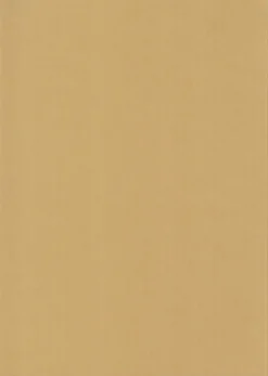 Karto Askartelutarvikkeet<nki A4 220Gsm Beige 5Ark/Pss