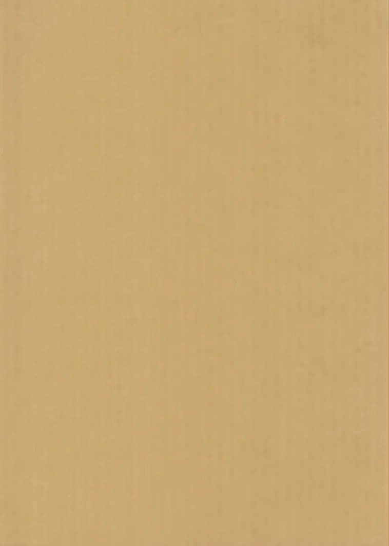 Karto Askartelutarvikkeet<nki A4 220Gsm Beige 5Ark/Pss