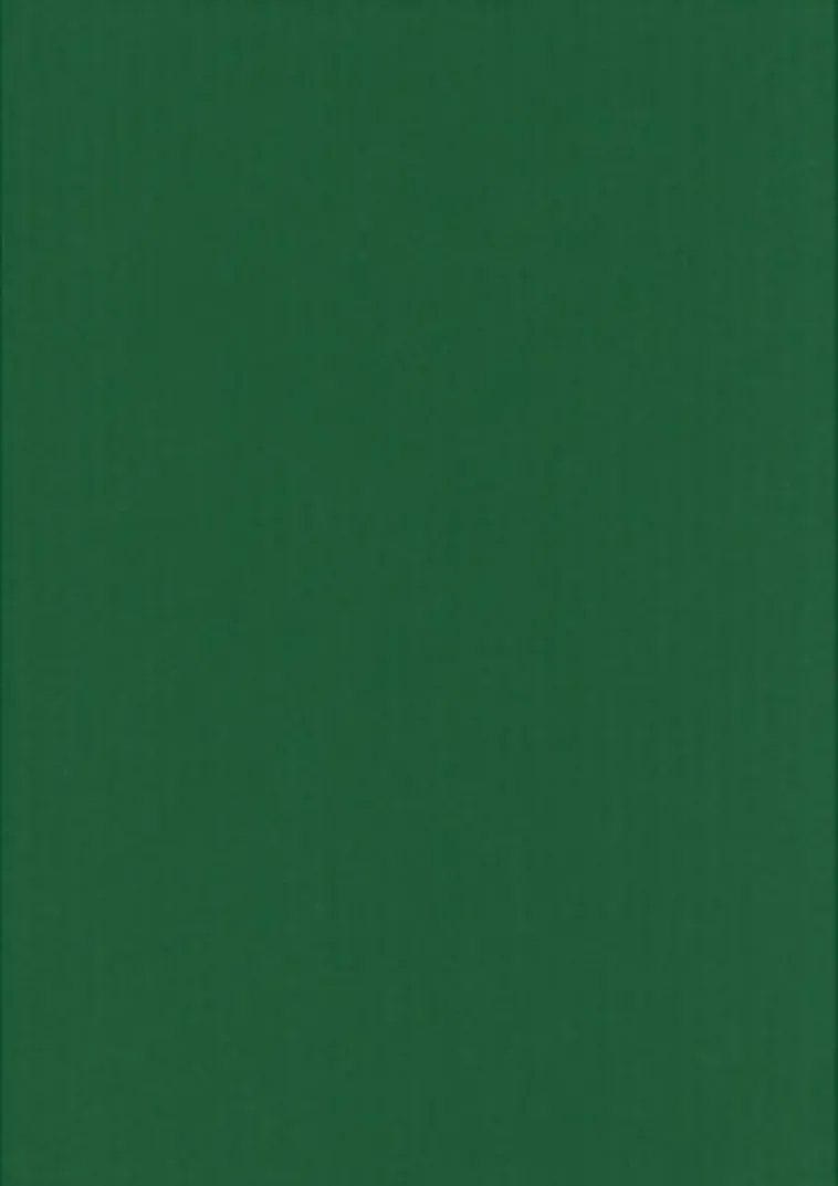 Karto Askartelutarvikkeet<nki A4 220Gsm Ruohon Vihrea 5Ark/Pss