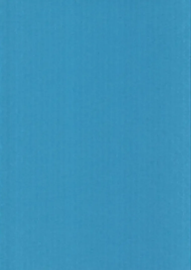 Karto Askartelutarvikkeet<nki A4 220Gsm Vaaleansininen 5Ark/Pss