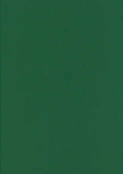 Karto Askartelutarvikkeet<nki Ruohon Vihrea 50X70Cm 220Gsm 5Ark/Pss