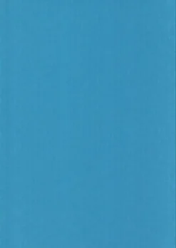 Karto Askartelutarvikkeet<nki Vaaleansininen 50X70Cm 220Gsm 5Ark/Pss