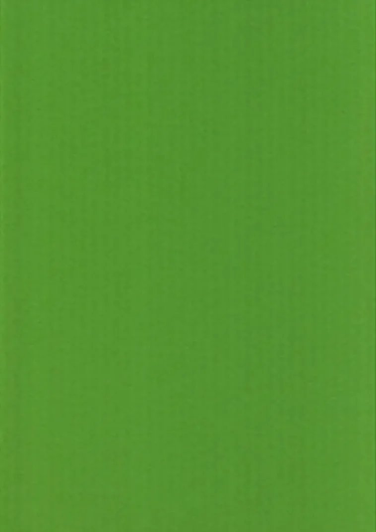 Karto Askartelutarvikkeet>Kortti Kirkkaan Vihrea 10X15Cm 220Gsm 10Kpl/Pkt