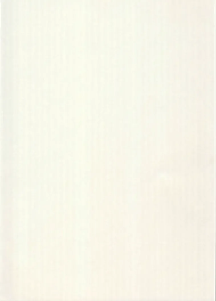 Karto Askartelutarvikkeet>Kortti Luonnonvalkoinen 10X15Cm 220Gsm 10Kpl/Pkt