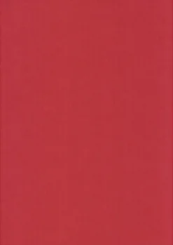 Karto Askartelutarvikkeet>Kortti Tummanrosa 10X15Cm 220Gsm 10Kpl/Pkt