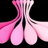 Bodyotics Seksivalineet<Kegel Pallot Eri Kokoja 6Kpl