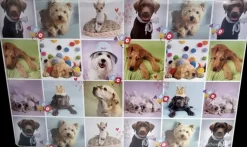 Disney Toimistotarvikkeet></noscript>Kirjoitusalusta 40 X 60 Cm