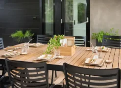 Maku Astiat></noscript>Palmunlehtilautanen 20X20 Cm 10 Kpl