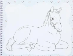 Miss Melody Askartelutarvikkeet></noscript>Varityskirja