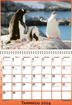 Ajasto Kalenterit>Seinakalenteri Forget-Me-Not-Wall