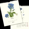 Art Collection Kalenterit>Seinakalenteri Kasvit Lindman 2024