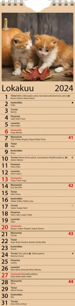 Ajasto Kalenterit><noscript><img width=